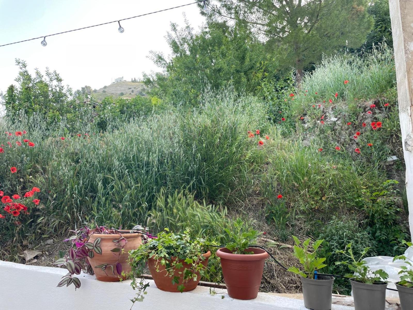 La Casita Azul Βίλα Cazorla Εξωτερικό φωτογραφία
